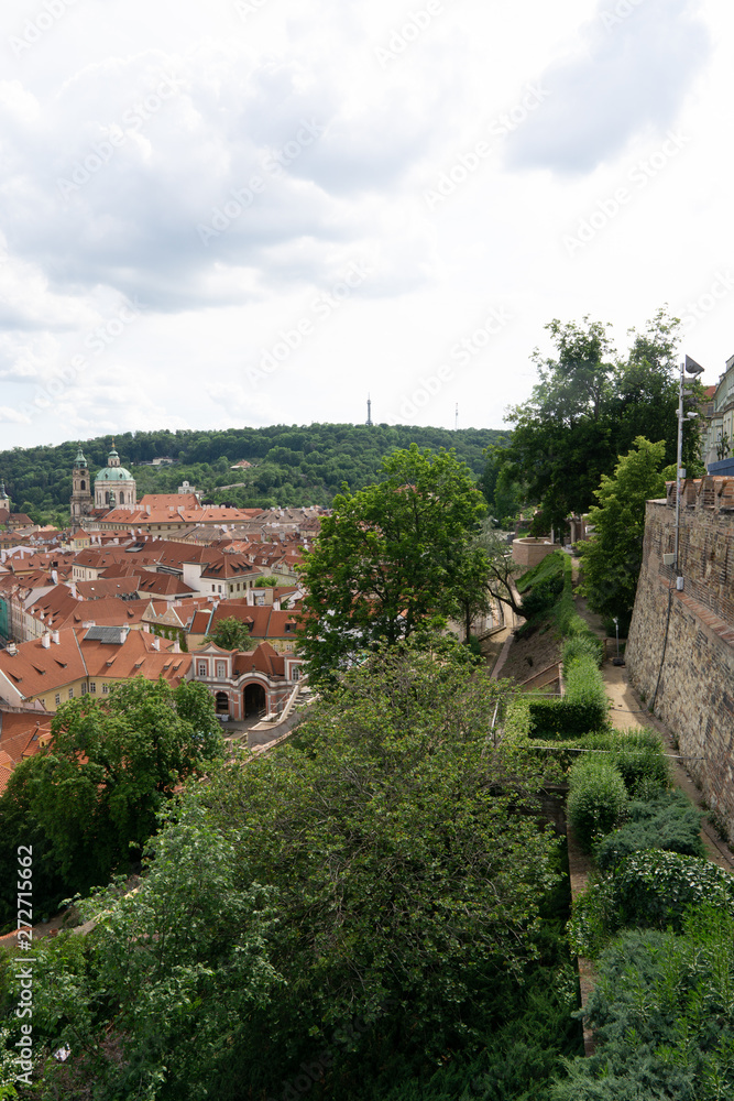 Red roofs of houses in Prague with green foliage of trees.  View of the city in the summer.