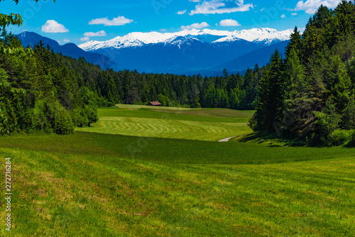 Frisch gemähte Wiese am Mieminger Plateau Tirol