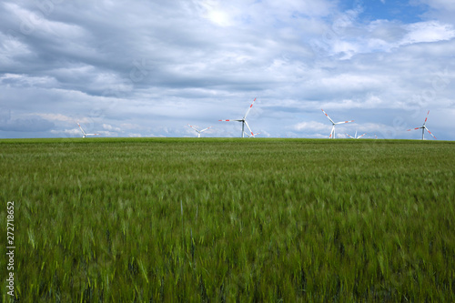 Kornfeld im Frühling und Windräder am Horizont  - Stockfoto
