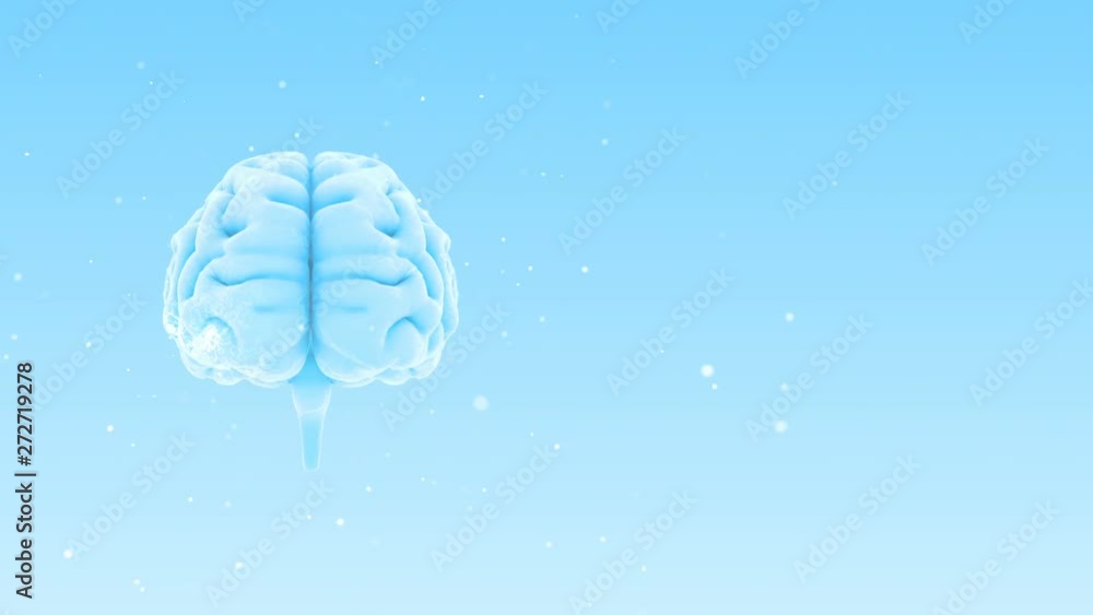 Brain head mind image background Brain head mind image background