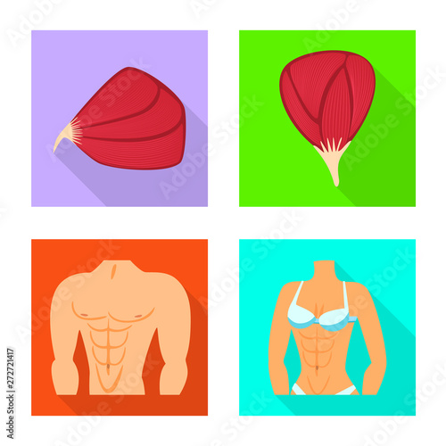 Vector design of muscle and cells logo. Collection of muscle and anatomy vector icon for stock.