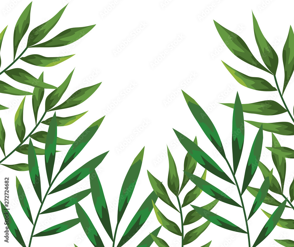 Fototapeta premium branch with leafs plants pattern background