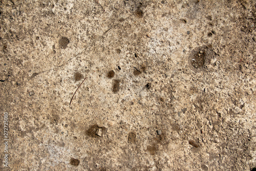 sandy road with fragments of bricks, stones, glass and grass