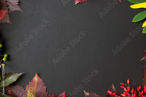 Autumn background with wild grapes, leaves viburnum, rowan,  and red berry  on aged wood with copy space for  text, top view.