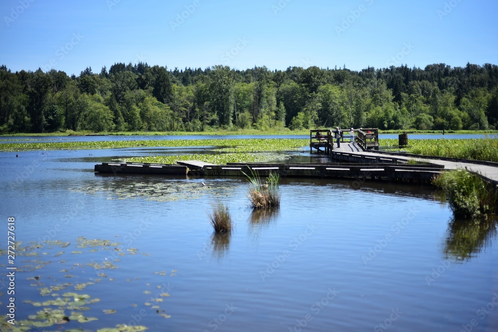 A view of the Burnaby Lake Regional Park A view of the Burnaby Lake Regional Park