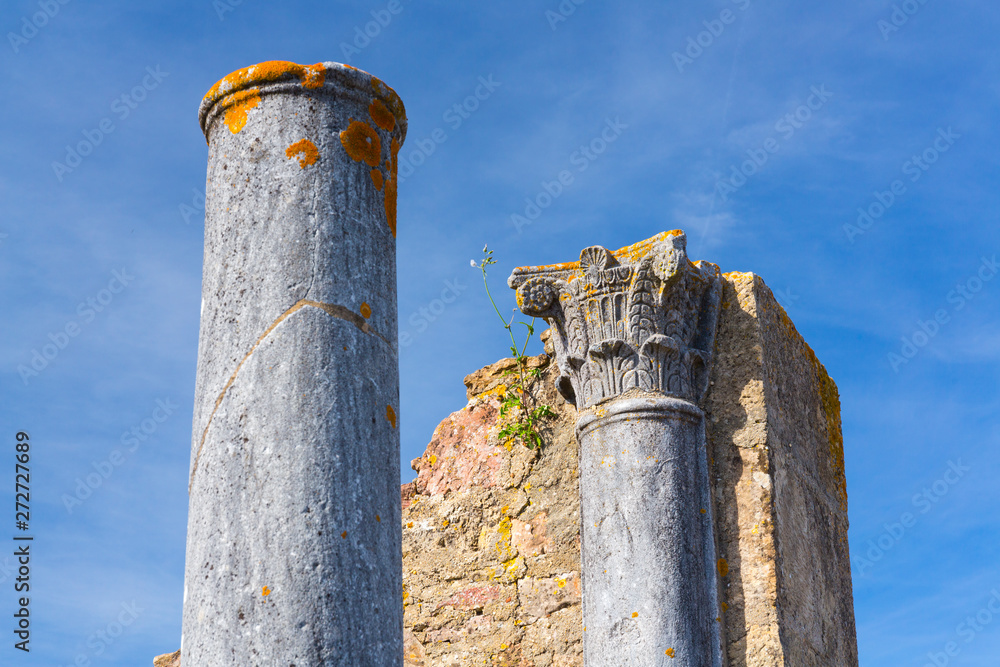 Φωτογραφία Ancient Roman town Miróbriga, Santiago do Cacem, Natural Park of Southwest Alent