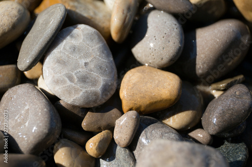 Petoskey Stones