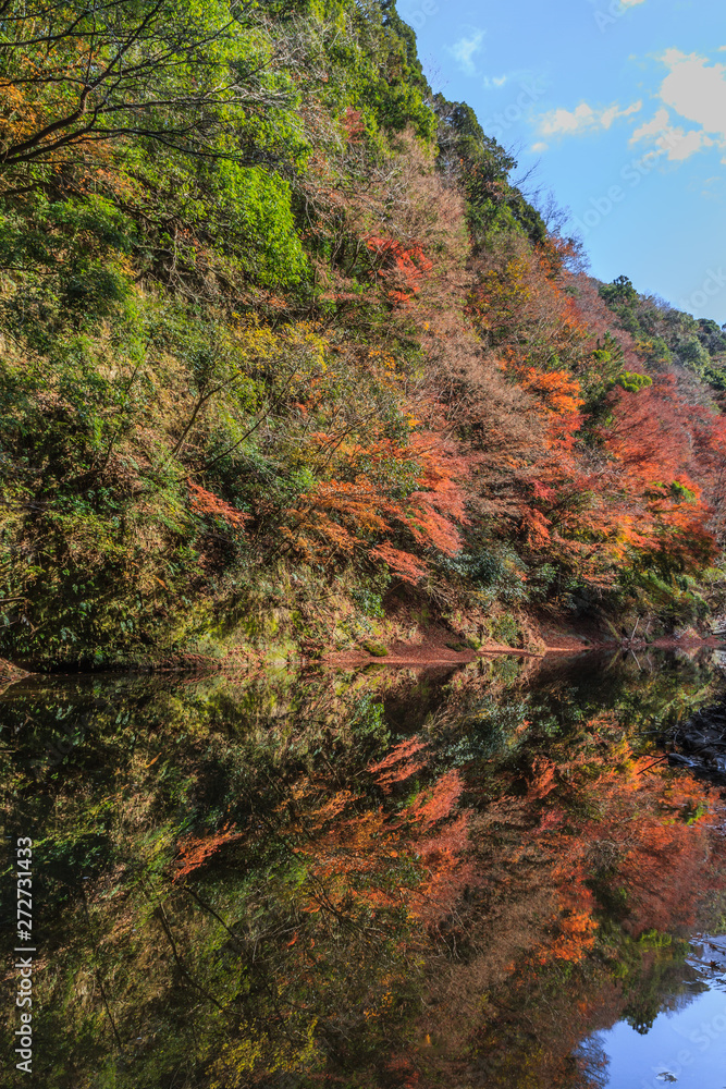 秋の養老渓谷の中瀬遊歩道の風景