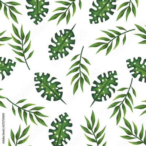 exotic and tropical leafs plant pattern