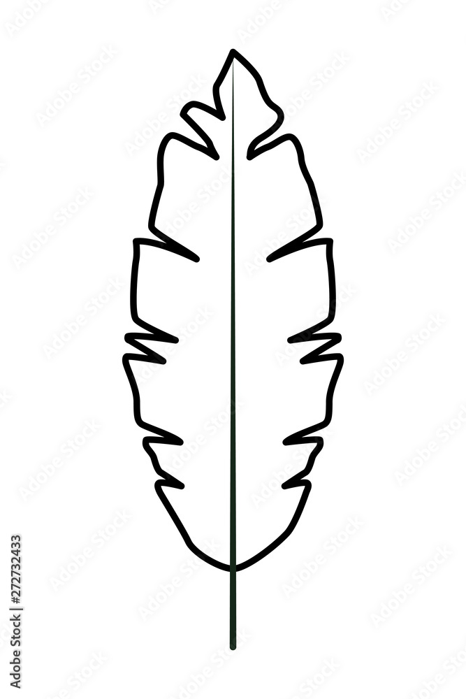 exotic tropical leaves icon cartoon in black and white exotic tropical leaves icon cartoon in black and white