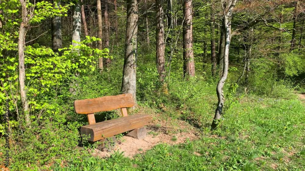 A wood bench near the forrest in the sun.
A place to relax. A wood bench near the forrest in the sun.
A place to relax.