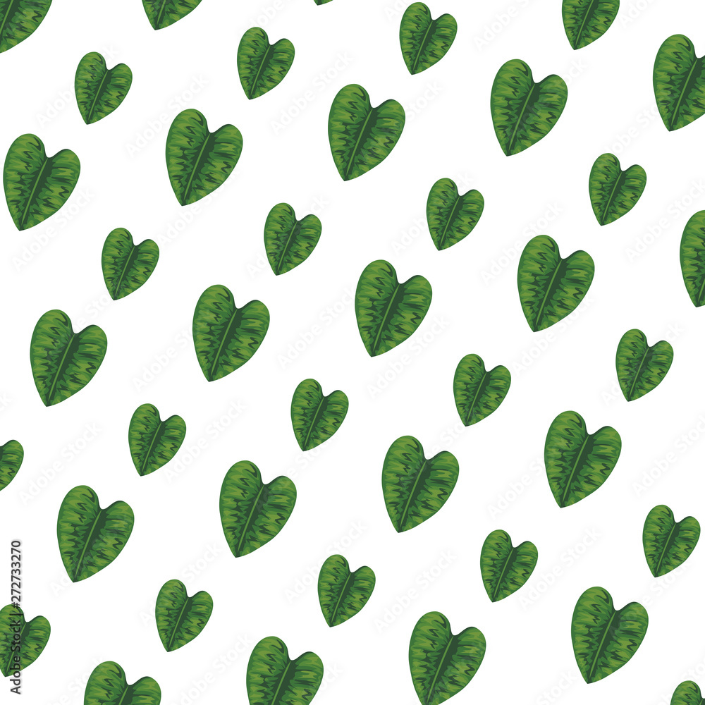 ecology leafs plants nature pattern ecology leafs plants nature pattern