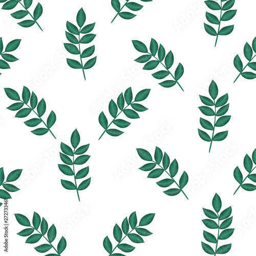 branch with leafs plants pattern background