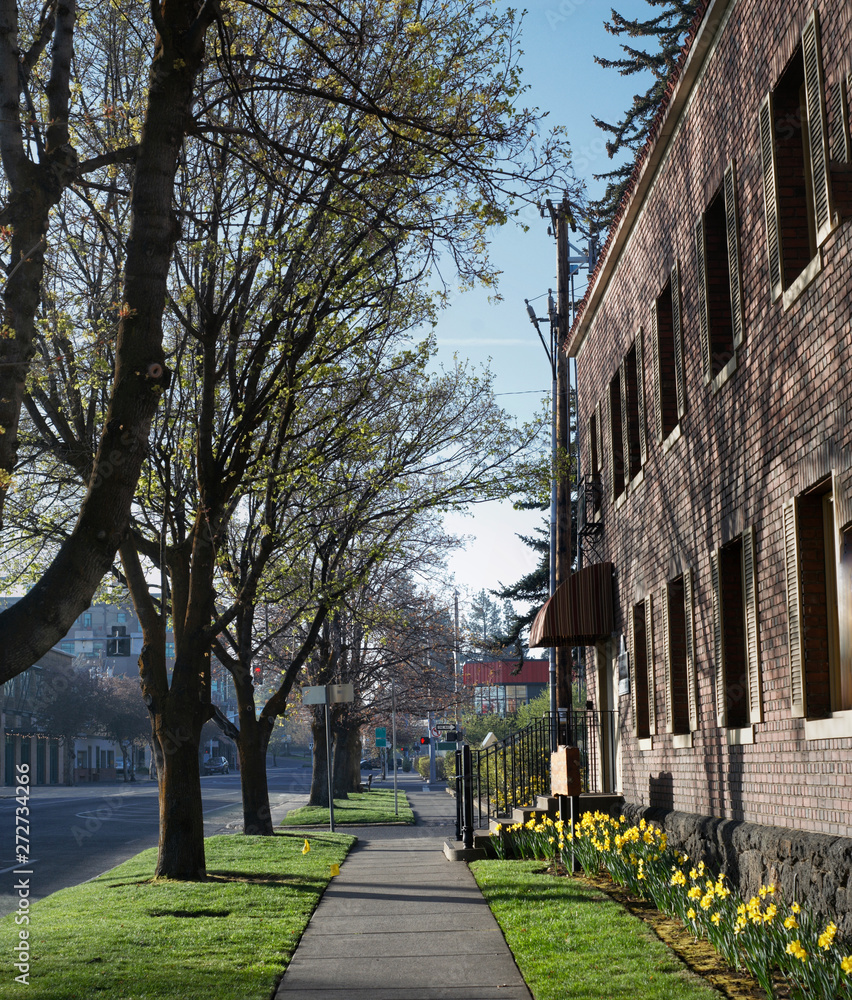 A sidewalk leading between the facade of a brick building and a tree lined park strip. 