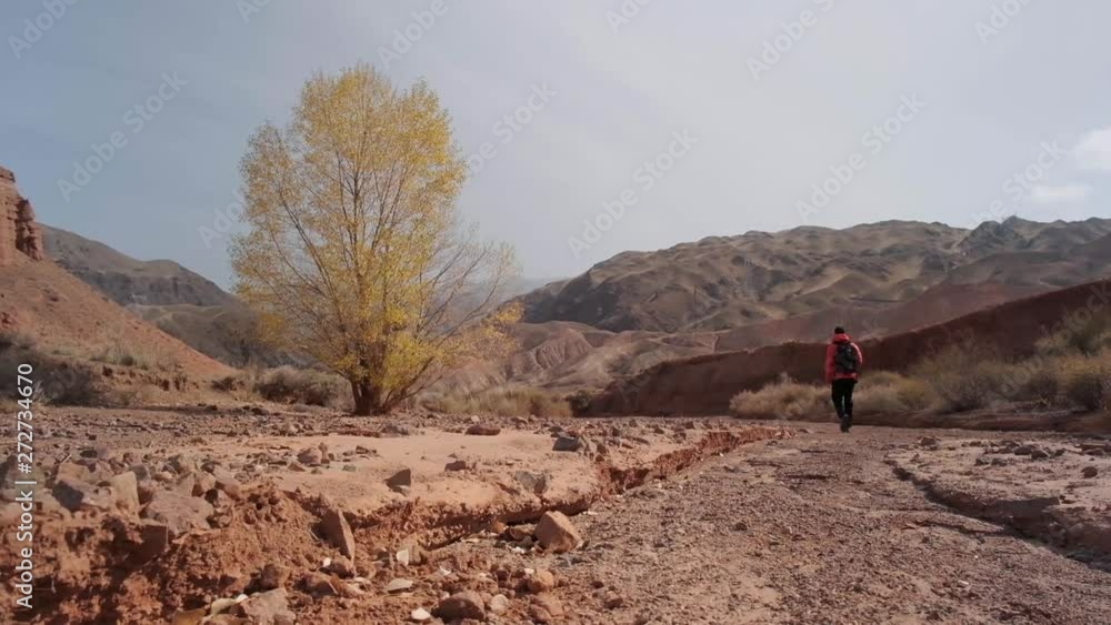 Small Creek Canyon with Red Cliffs named Konorcheck Canyon. Small canyon named Kyzyl Terek can be visited by walk. Great place to camp, hike explore on the way to Issyk Kul lake.