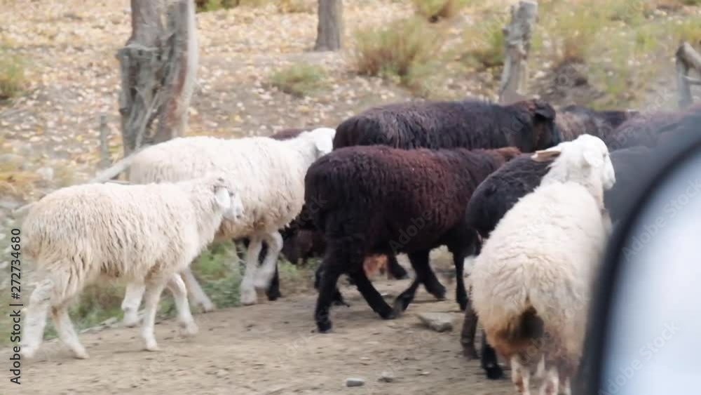 Driving and travelling through the amazing Barskoon Valley in Kyrgyzstan Central Asia
