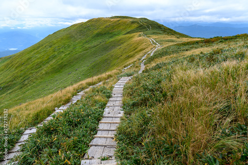 月山から姥ヶ岳に向かう登山道