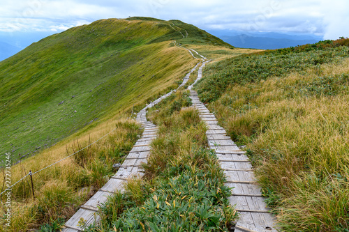 月山から姥ヶ岳に向かう登山道