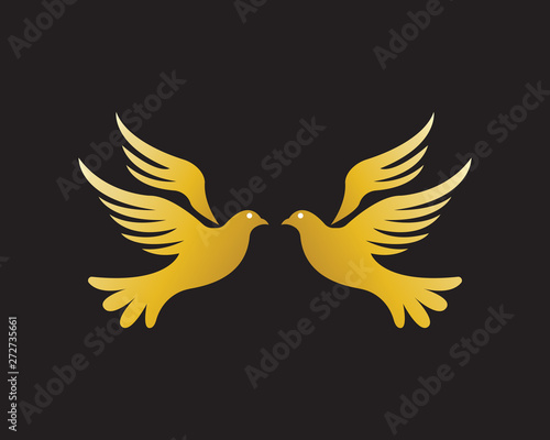 Gold Bird Dove Logo Vector in Elegant Style with Black Background