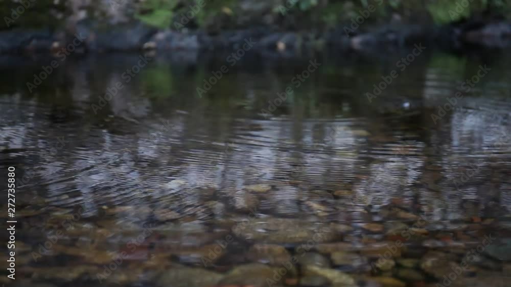 CLOSE UP: Detail of raindrops falling down. Start monsoon rains. The first drops of rain fall into a tropical stream. Calm, peaceful atmosphere CLOSE UP: Detail of raindrops falling down. Start monsoon rains. The first drops of rain fall into a tropical stream. Calm, peaceful atmosphere