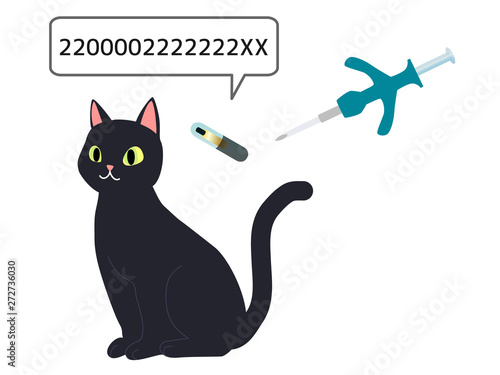 implant microchip to cats