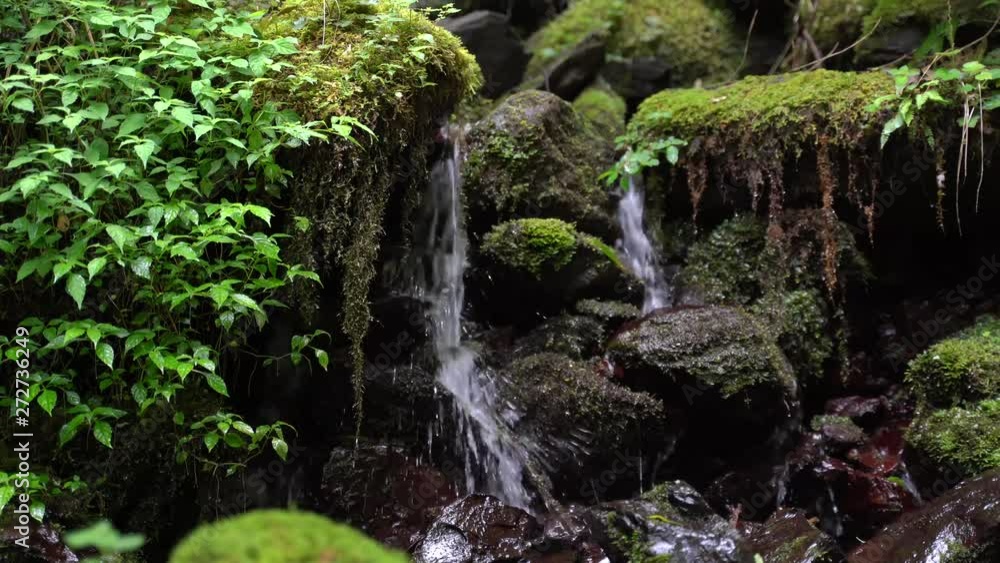 The mountain stream is flowing. 4K Beautiful and relaxing. The mountain stream is flowing. 4K Beautiful and relaxing.