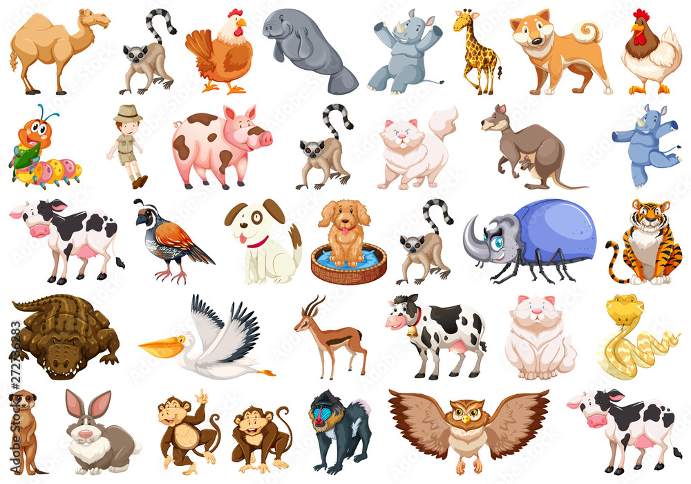 Set of different animals set Set of different animals set