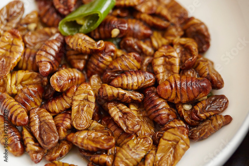 Beondegi, Korean silkworm pupae snack photo