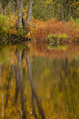 Gold and orange autumn foliage reflected in Rosseau River in Muskoka