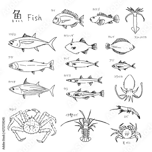 市場の魚 種類いろいろ 線画イラスト Stock Vector Adobe Stock 市場の魚 種類いろいろ 線画イラスト Stock Vector Adobe Stock
