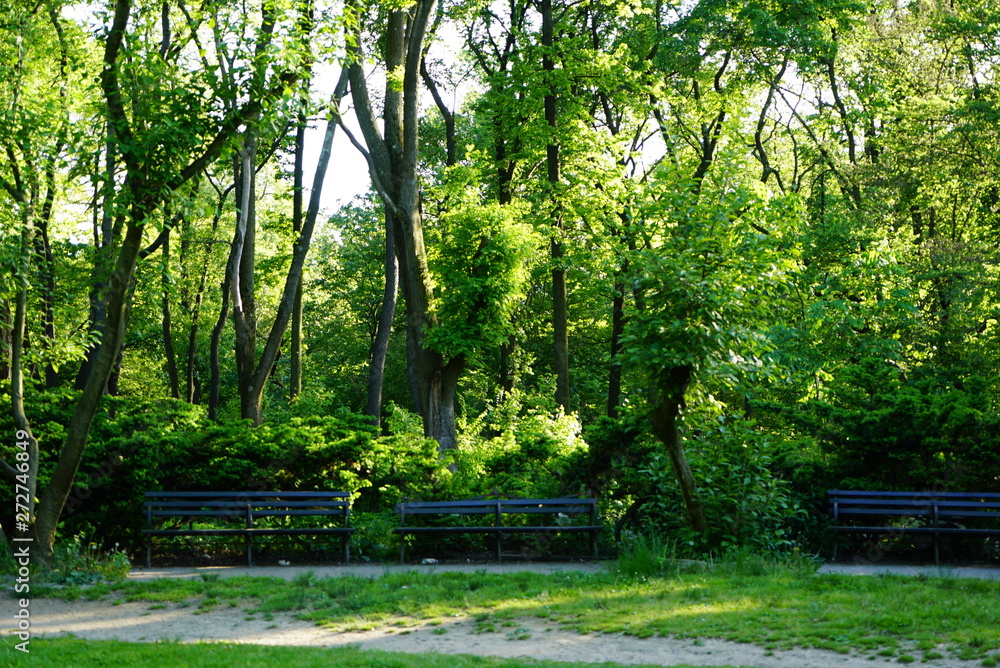 New York City’s Prospect Park New York City’s Prospect Park