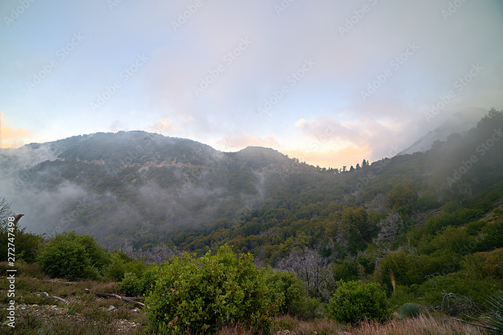 Obraz premium Landscapes off the Angeles crest highway a few miles from los angeless