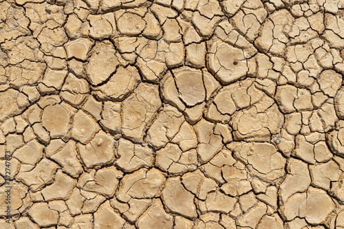 Fotografering Brown dry soil or cracked ground texture background.