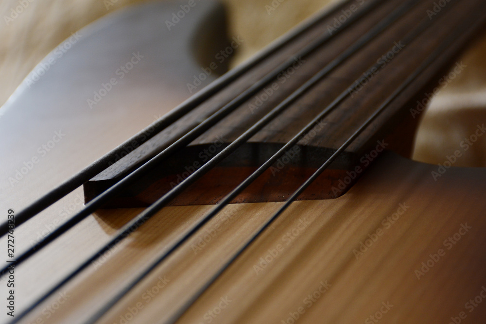 5 Strings Fretless Bass Guitar with Black Strings 5 Strings Fretless Bass Guitar with Black Strings