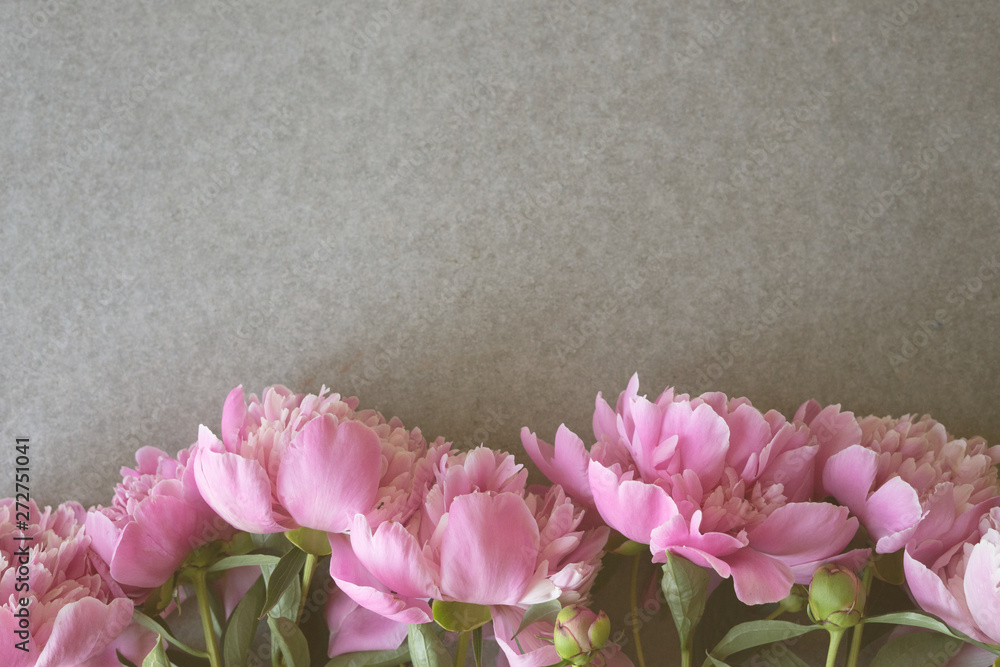 Fototapeta premium Pink peonies