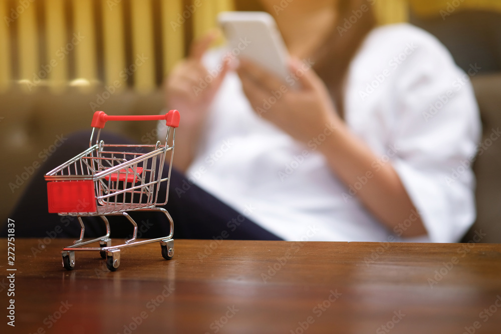 Woman and Small shopping cart with Laptop for Internet online shopping concept.