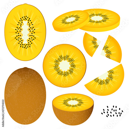 Kiwi gold vector illustration set. Whole, sliced and halved Kiwi gold graphics.
