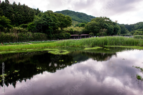 Fototapeta Naklejka Na Ścianę i Meble -  神楽女湖
