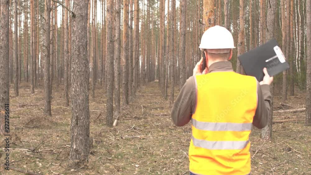 custom made wallpaper toronto digitalYoung caucasian male inspector in a signal vest talking on the phone against the backdrop of the forest industry, copy space