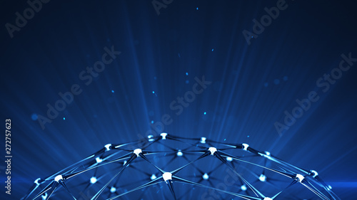 Network structure and blue ...