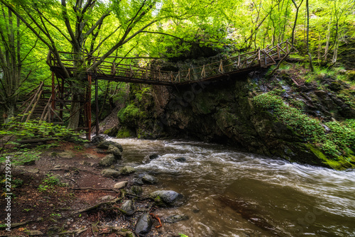 Beautiful wooden hand-made bridge in the Ecopath White River, near Kalofer, Bulgaria.