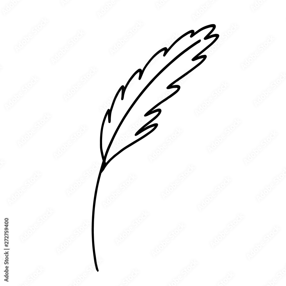 vector hand drawn illustration of an old fashioned writing pen, i.e. feather vector hand drawn illustration of an old fashioned writing pen, i.e. feather