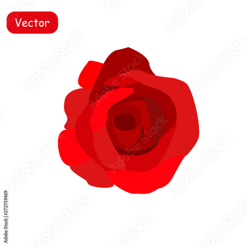 Deep red, ruby rose flower with green leaves, sketch style vector illustration isolated on white background. Realistic hand drawing of open red rose, symbol of love, decoration element