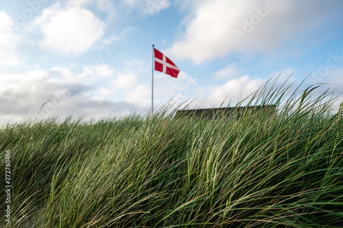 beach grass with a blurry flag in the wind and background, flag in the field