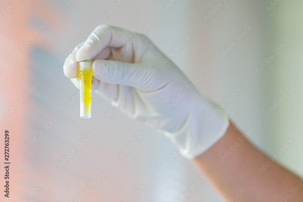 Obraz premium Scientist looking at plants in test tube in laboratory