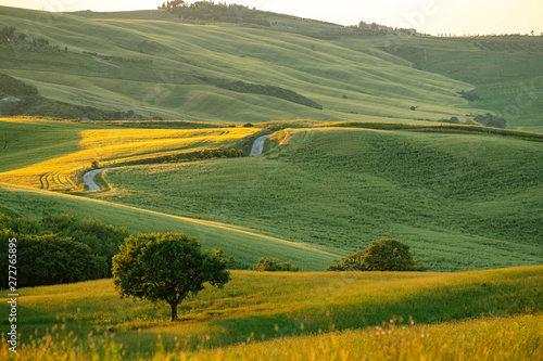 Tuscany landscape at sunrise. Typical for the region tuscan farm