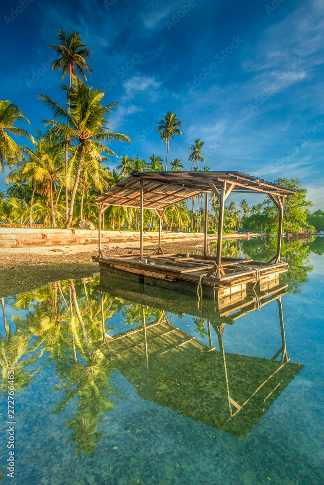 the beauty of the beach decorated with coconut tree the beauty of the beach decorated with coconut tree