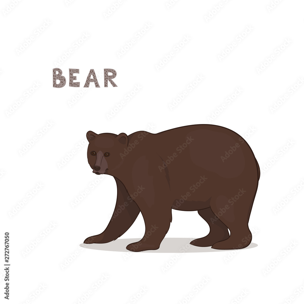 Obraz premium A cartoon bear, isolated on a white background. Animal alphabet.