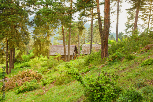 Nature forest landscape and wooden huts