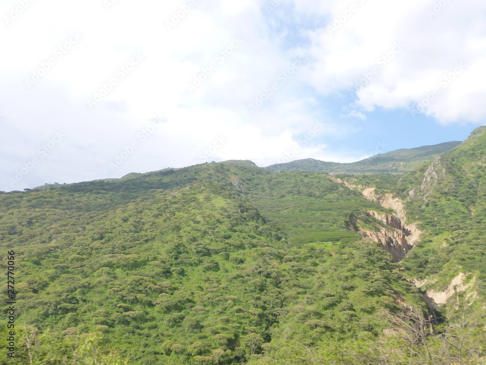 Naklejka premium Contumaza, Cajamarca, Peru